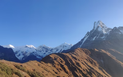 How Difficult Is Mardi Himal Trek: An In-Depth Guide