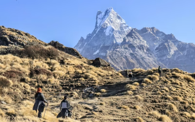 How to Complete Mardi Himal Trek in 3 Days