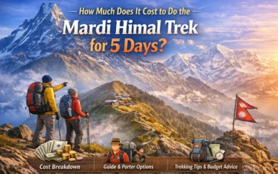 How Much Does It Cost to Do the Mardi Himal Trek for 5 Days?