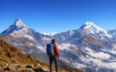 Mardi Himal Trek Review | An Honest and Complete Guide