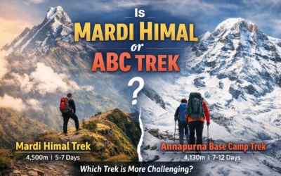 Is Mardi Himal or ABC Harder? A Complete Trek Difficulty Comparison