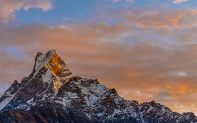 Do You Need a Guide for Mardi Himal Trek? Complete Guide