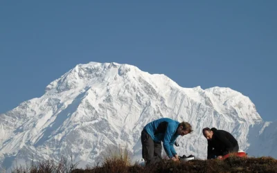 Mardi Himal Trek Highlights | Nepal’s Most Rewarding Hidden Trek
