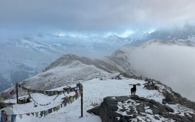 Best Time for Mardi Himal Trek | Complete Seasonal Guide