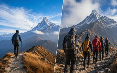 Mardi Himal Trek Solo vs Guided: Which is Better?