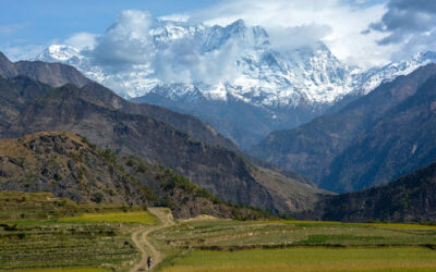 Mardi Himal Trek Difficulty Level – Complete Guide