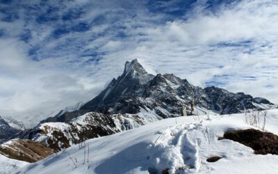 Mardi Himal Trek Safety Tips: Everything You Need to Know Before You Go