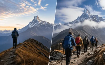 Mardi Himal Trek Solo vs Group – Which Is Best for You?