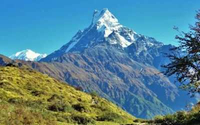 Mardi Himal Trek Altitude Sickness Tips: Complete Prevention Guide
