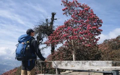 Mardi Himal Trek Photography Guide | Viewpoints, Camera Settings & Timing